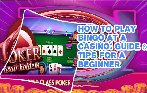 Bingo slots casino