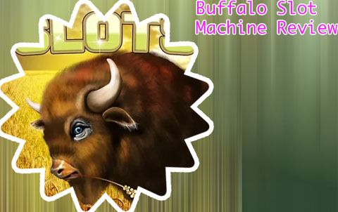Buffalo grand slot machine app