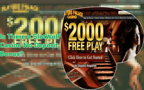 Slot wolf casino no deposit bonus codes